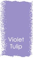 violet tulip